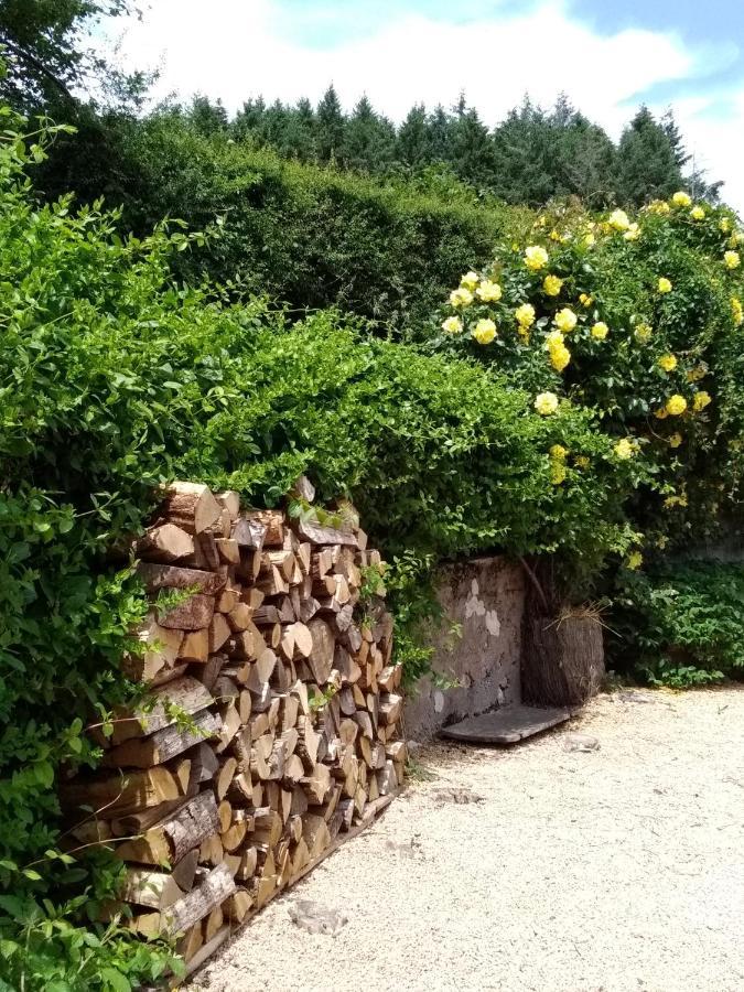 La Maison Du Potager Saint-Racho Exteriör bild