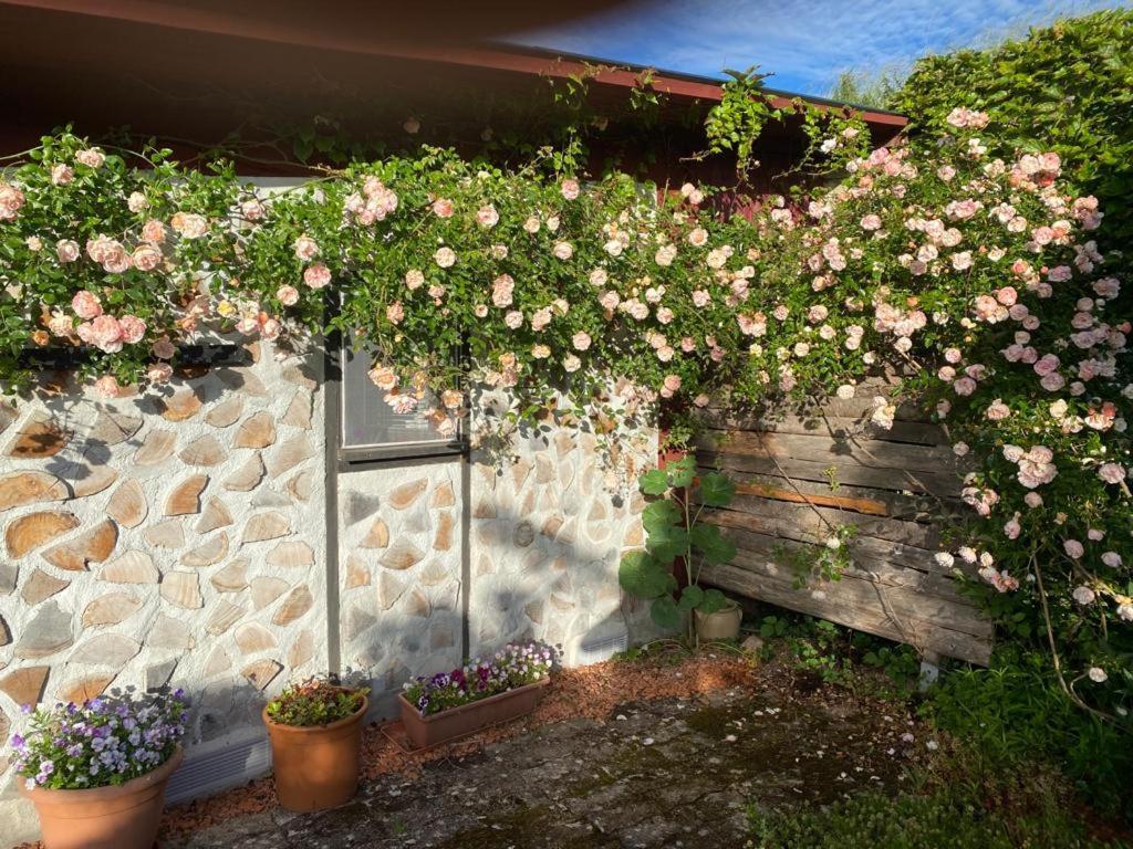 La Maison Du Potager Saint-Racho Exteriör bild