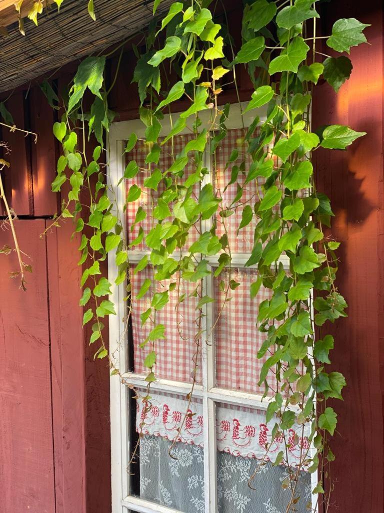 La Maison Du Potager Saint-Racho Exteriör bild